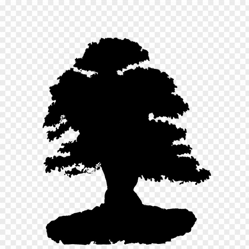 Tree Silhouette Font Leaf Sky PNG