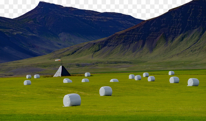 Biome Steppe Grassland Energy Science PNG