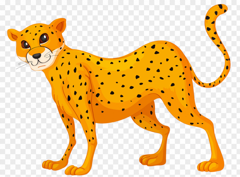Cheetah Leopard Cartoon PNG