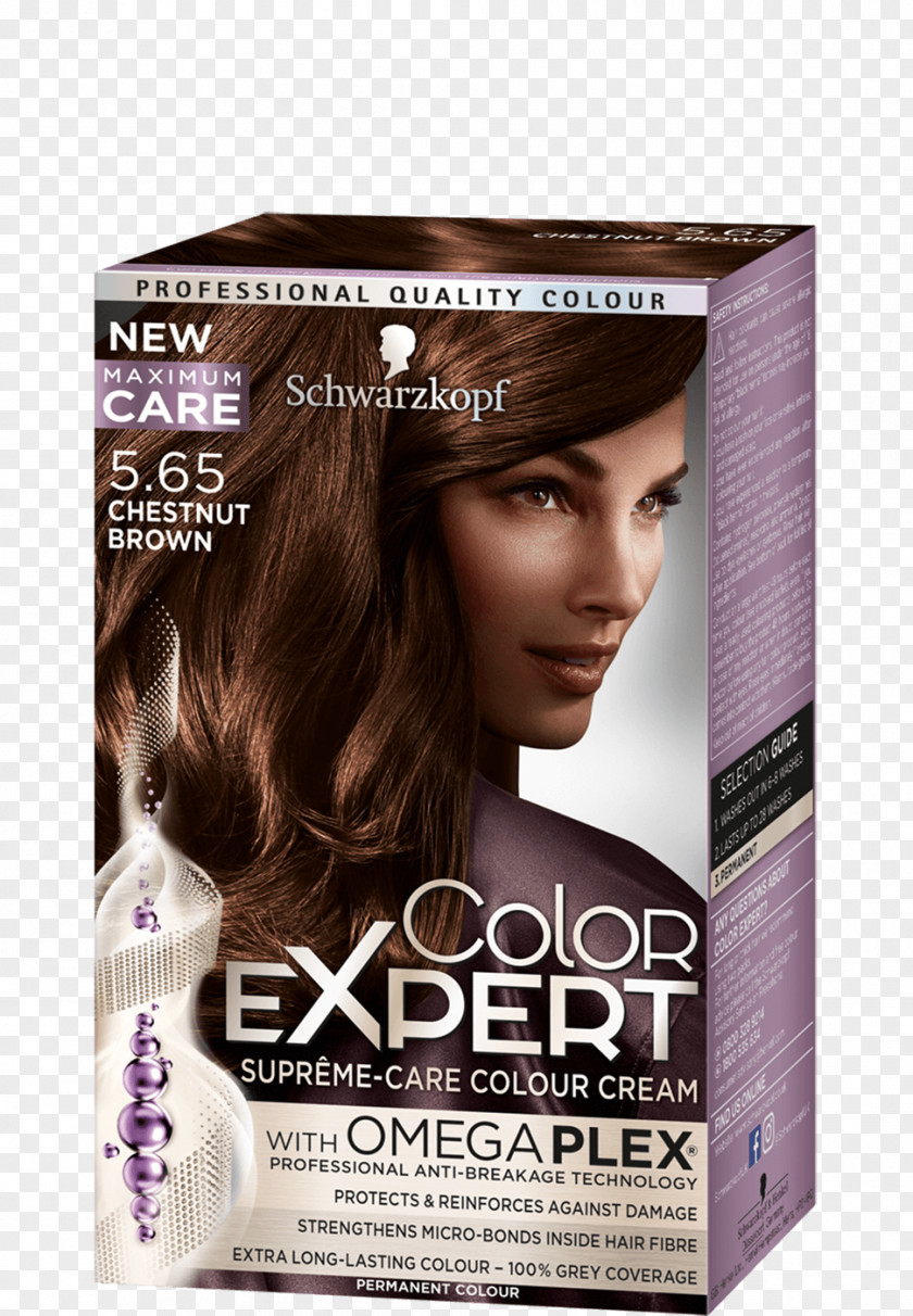 Chestnut Hair Coloring Human Color Schwarzkopf Garnier PNG