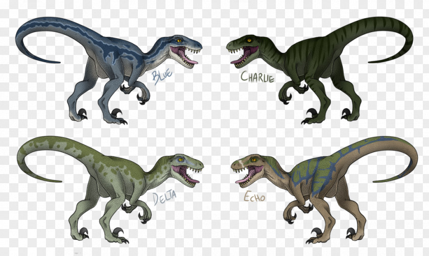 Dinosaur Velociraptor Toronto Raptors Tyrannosaurus Drawing PNG