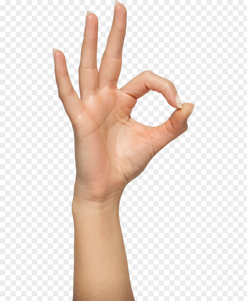 Hand OK Clip Art PNG