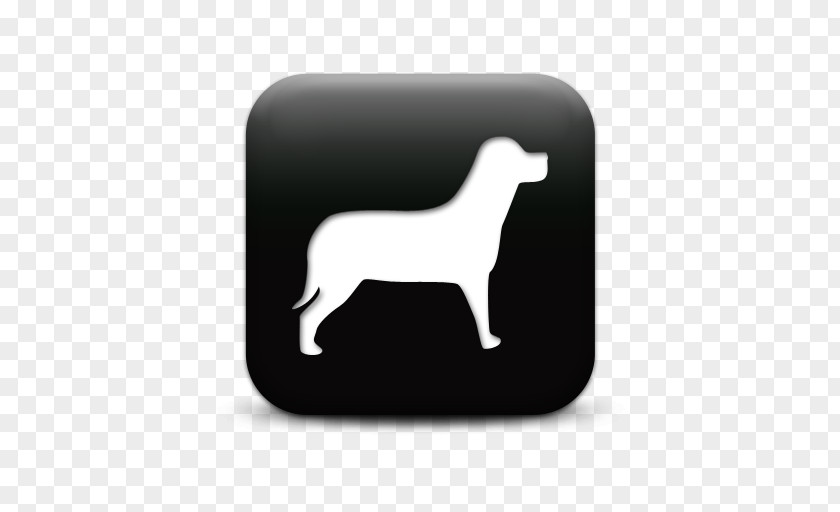 Icons Dog Download Pet Shop Clip Art PNG