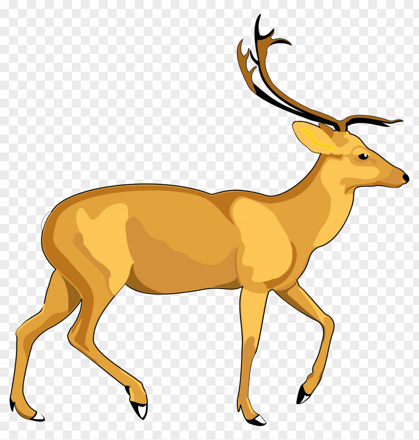 Moose Cartoon Deer Vector Graphics Clip Art Image PNG