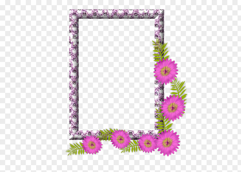 Picture Frames Photography Photomontage PNG
