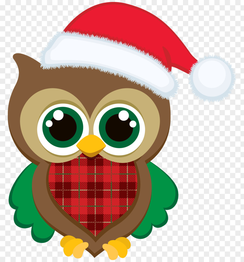 Recover Ornament Owl Clip Art Christmas Graphics Day Image PNG