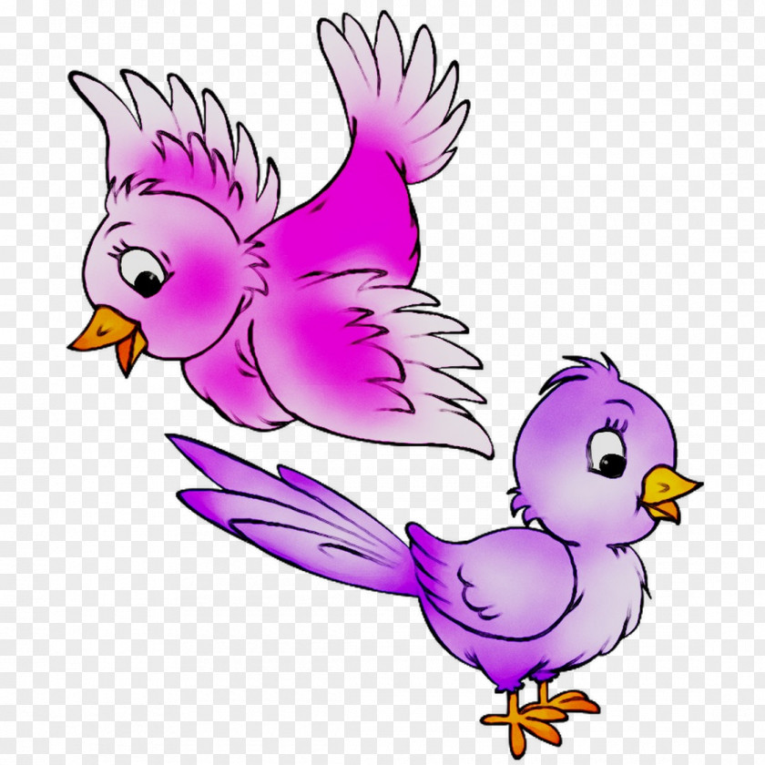 Rooster Clip Art Chicken Illustration Cartoon PNG