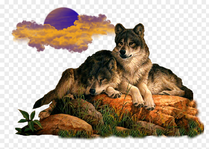 Wolves Gray Wolf Animaatio Avatar PNG