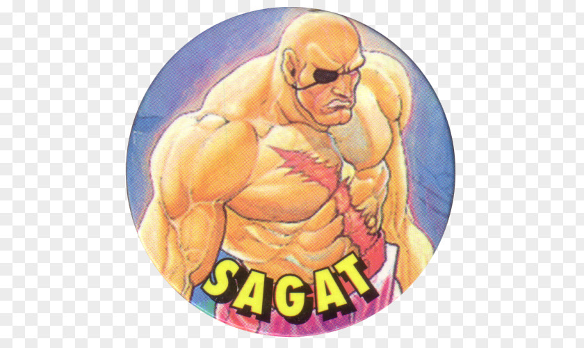Chewing Gum Street Fighter II: The World Warrior Super II Sagat Video Game PNG