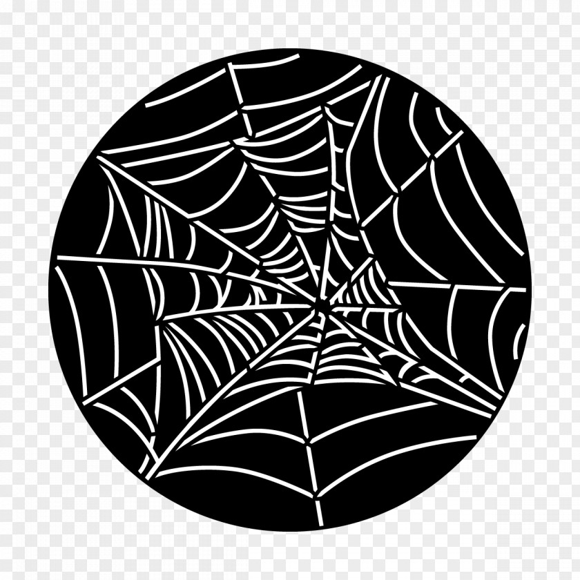 Natural Material Wildlife Spider Web PNG