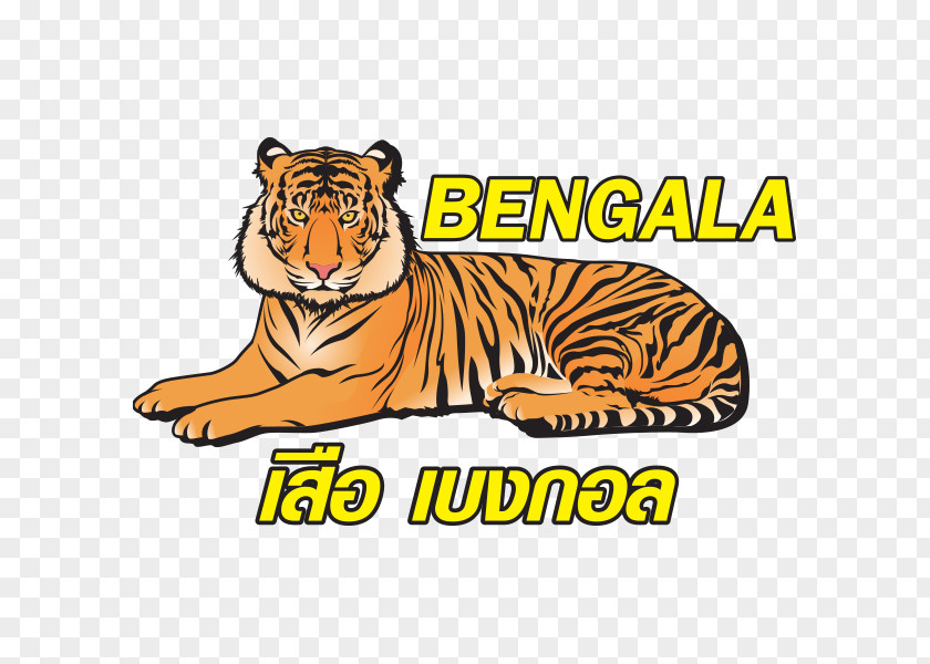 Tiger Bengal Cat Big Whiskers PNG