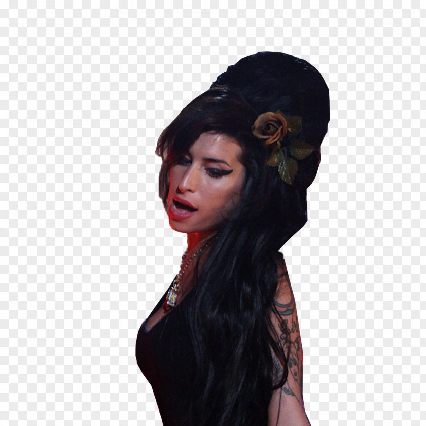 Amy Winehouse Rehab Backcombing PNG