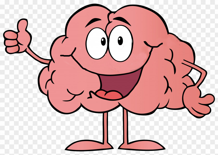 Brain Cartoon Clip Art PNG