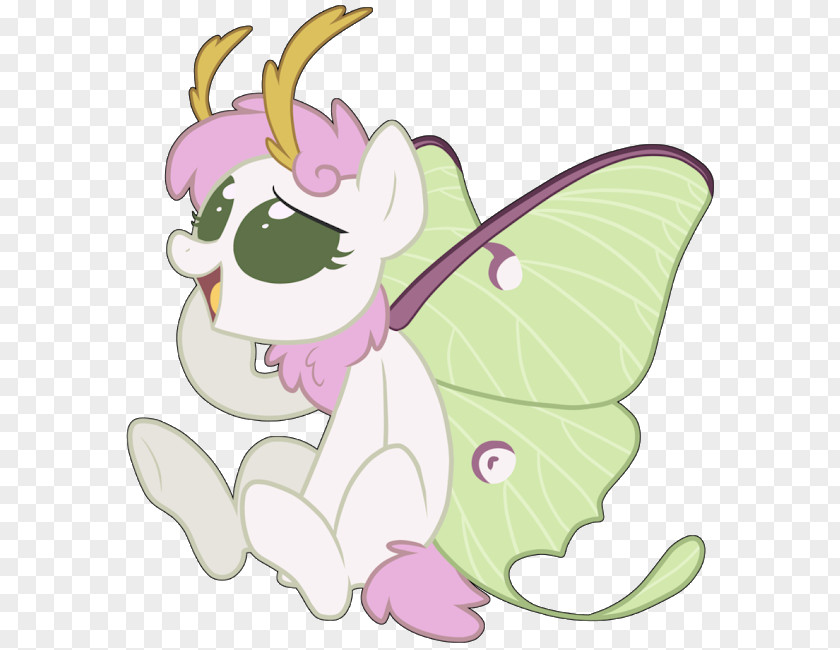 Butterfly Pony Moth Fluttershy Image PNG