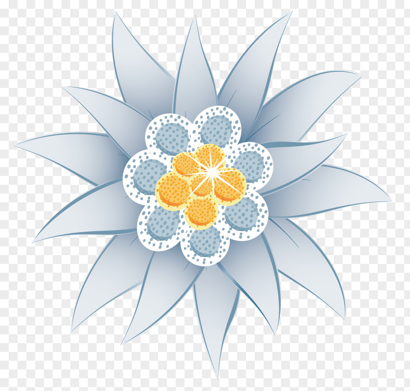 Hand-painted Flowers Diamond Edelweiss Flower Euclidean Vector Illustration PNG
