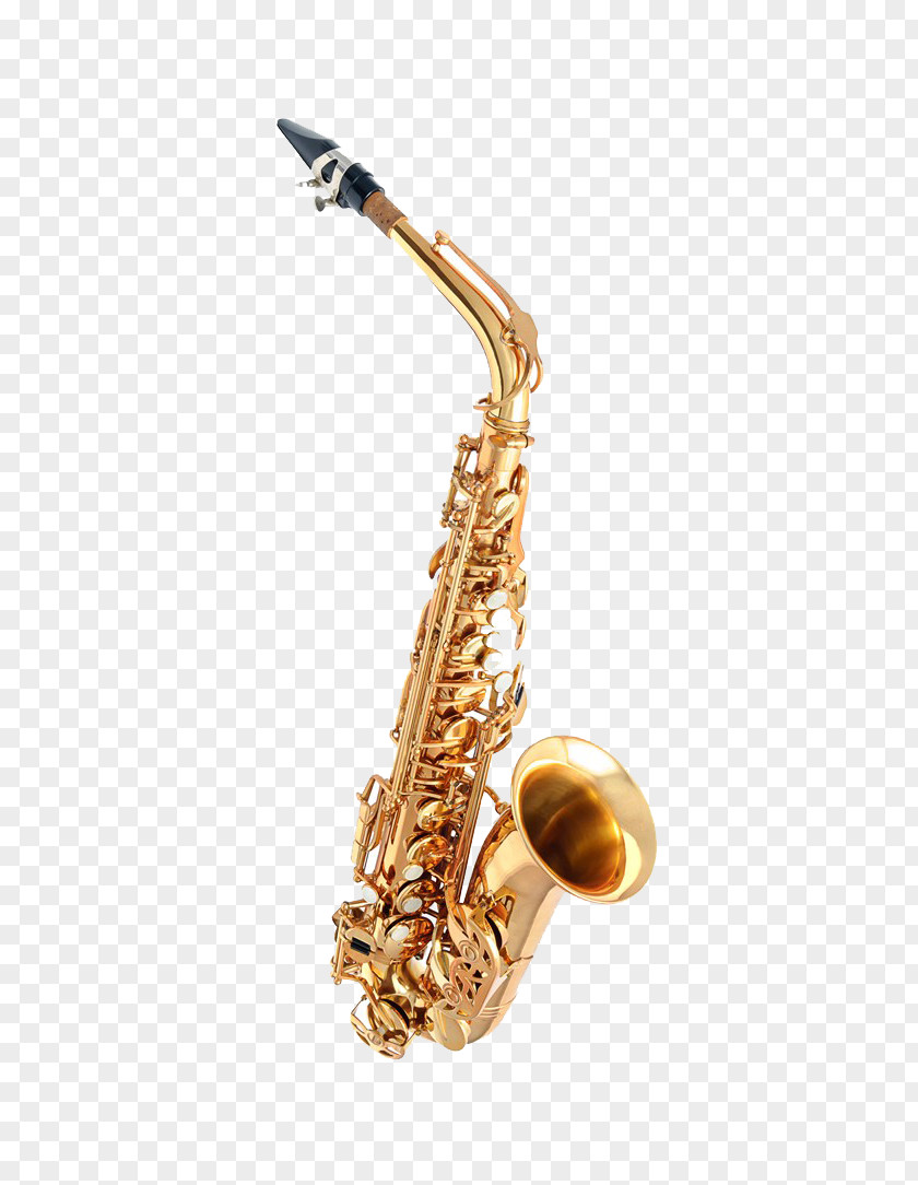 Saxophone Alto Stock Photography Royalty-free PNG