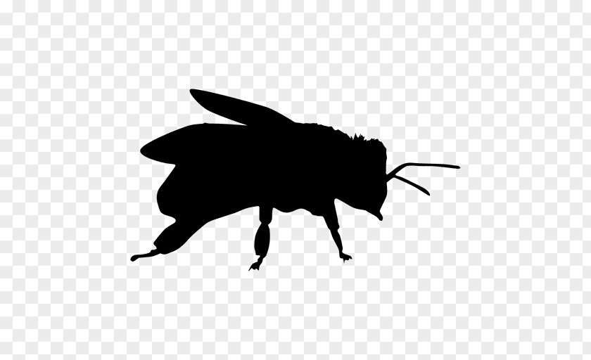 Silhouette Insect Drawing Honey Bee Clip Art PNG