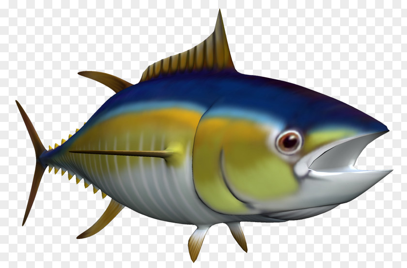 Thunnus Sardine Marine Biology Milkfish Oily Fish PNG