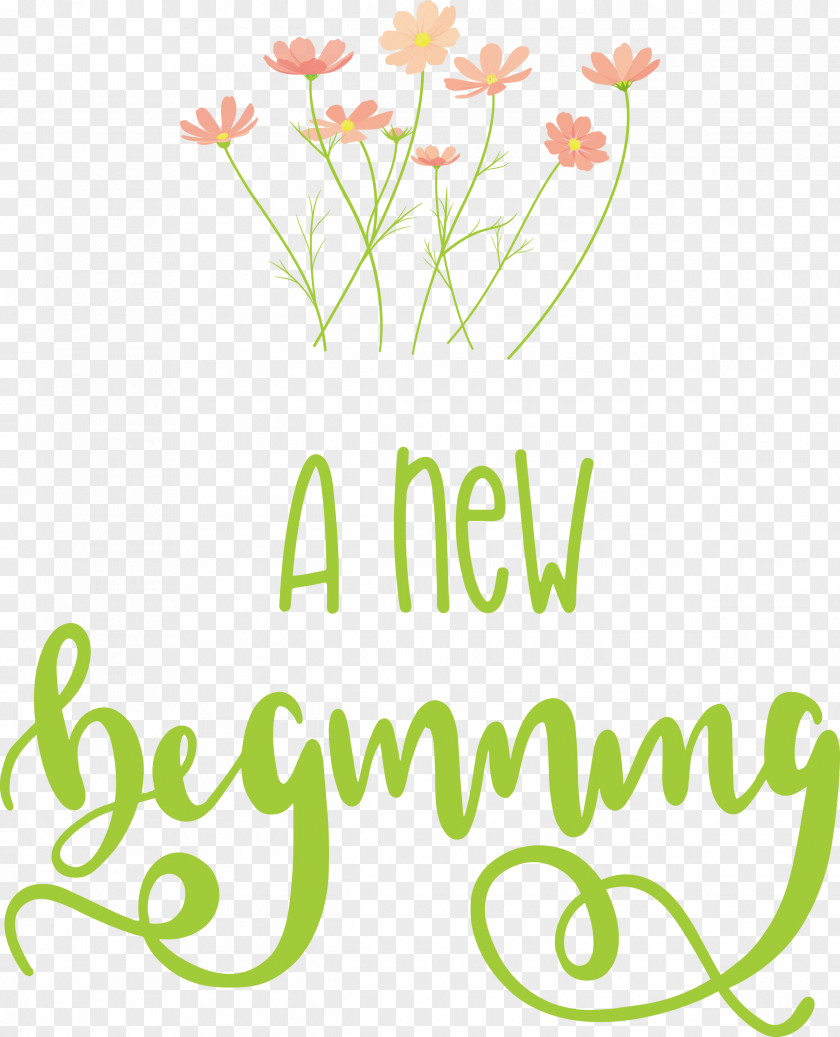 A New Beginning PNG