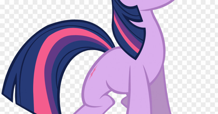 Confused Pony Twilight Sparkle Rainbow Dash Spike Equestria PNG