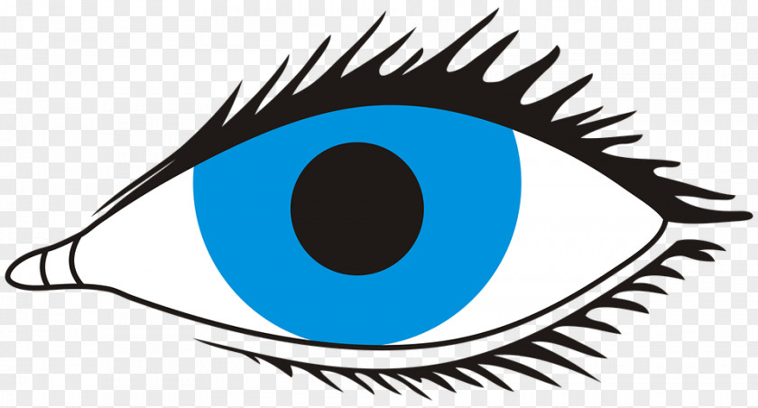 Eye Iris Drawing Desktop Wallpaper Clip Art PNG