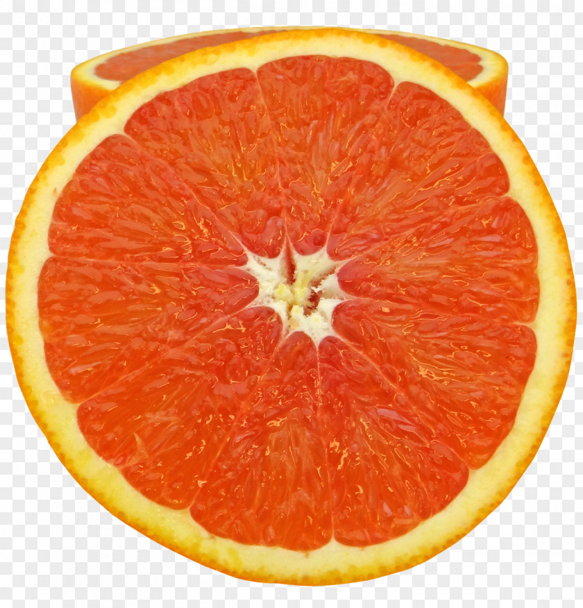 Grapefruit Orange Citrus Fruit Cara Navel PNG