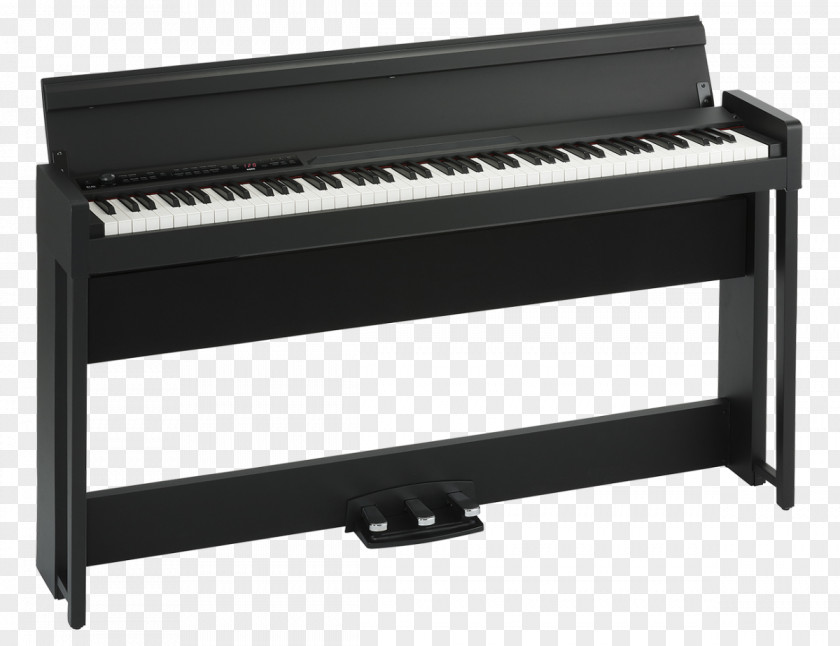 Musical Instruments Digital Piano Korg PNG