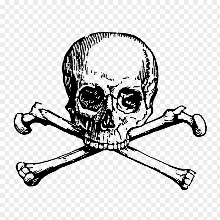 Skull And Bones Crossbones Art PNG