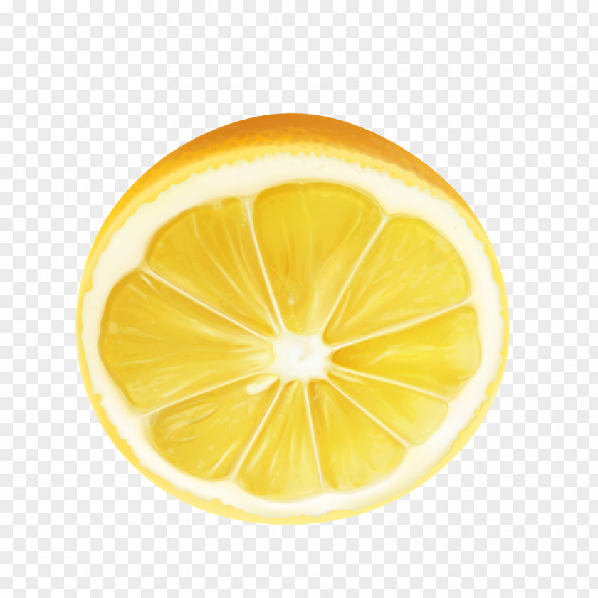 Half A Lemon Yellow Vector Meyer Citron Key Lime Lemonade PNG