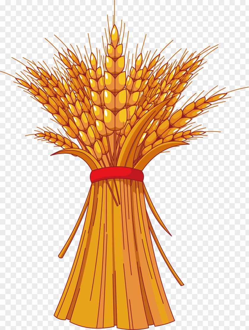 Wheat Vector Material Harvest Festival Autumn Free Content Clip Art PNG