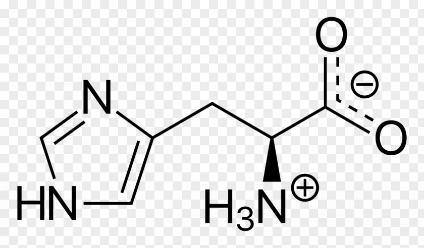 Amino Acid O-Anisic Caffeic Carboxylic PNG