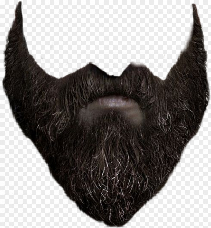 Beard PicsArt Photo Studio Clip Art Image PNG