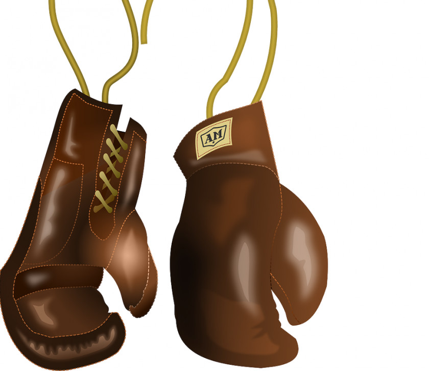 Boxing Gloves Hoodie Glove PNG