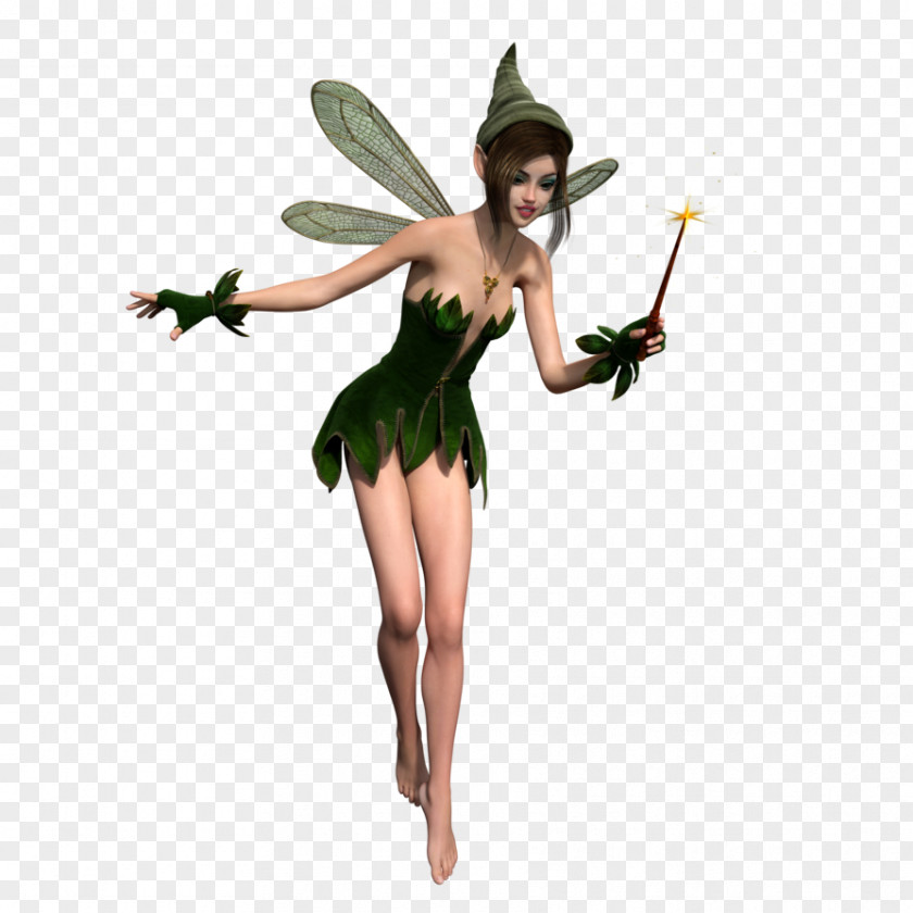 Fairy Photography Lossless Compression PNG