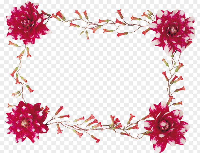 Flower Floral Design PhotoScape GIMP PNG