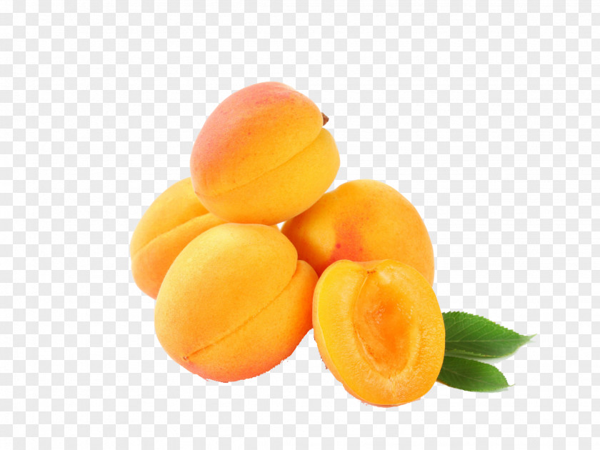 Food Yellow Apricot Fruit Plant PNG