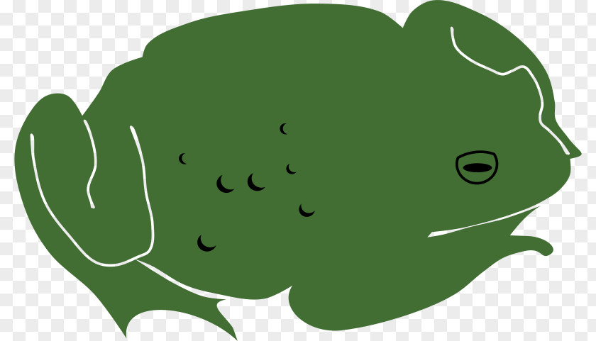 Frog Clip Art Toad Image PNG