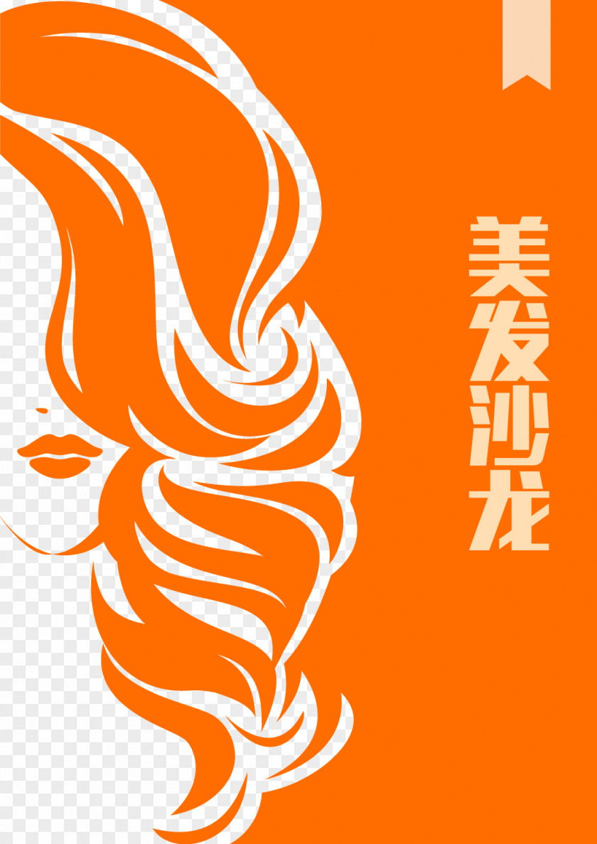 Hairdressing Posters Vector Material Artificial Hair Integrations Logo Hairdresser PNG