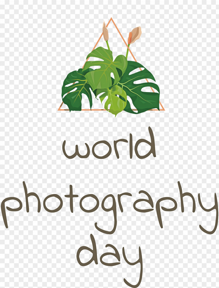 World Photography Day Photography Day PNG