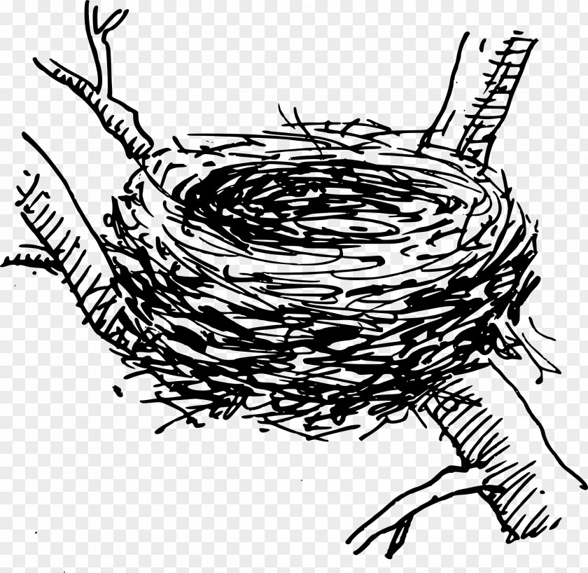 Bird Nest Clip Art PNG