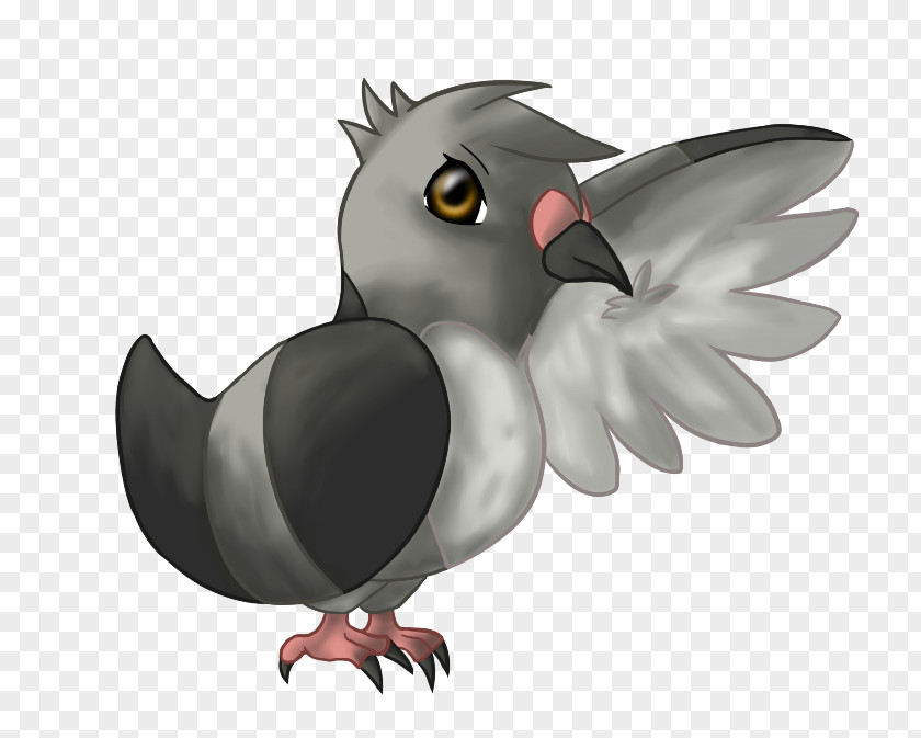 Bird Of Prey Beak Legendary Creature Chicken As Food PNG
