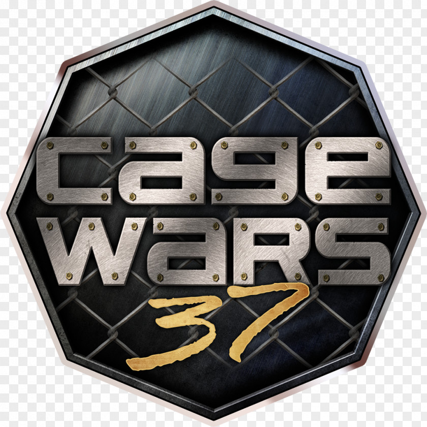 Cage Fight Washington Avenue Armory Wars Mixed Martial Arts Combat PNG