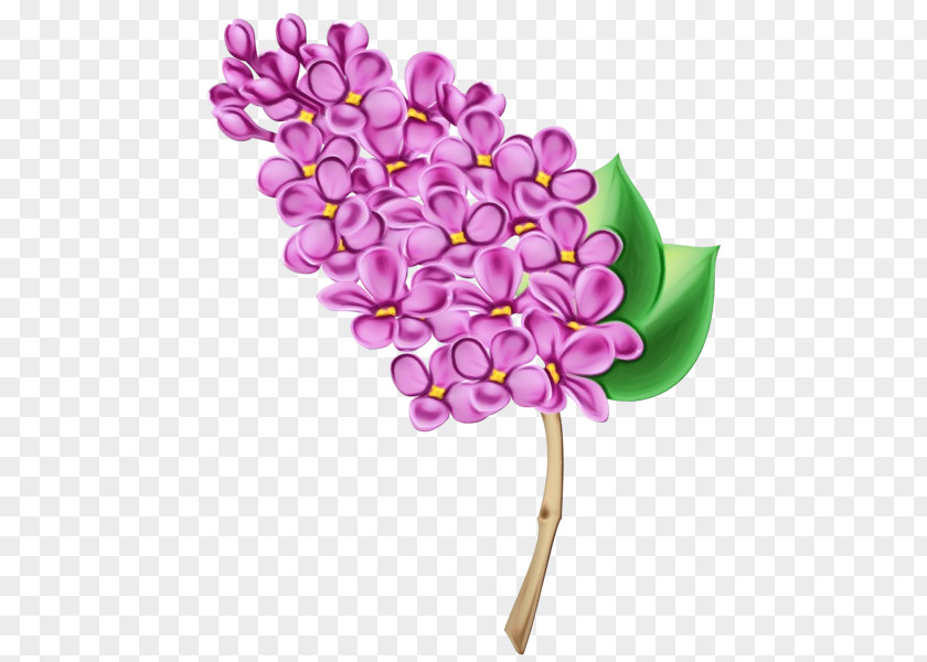 Cut Flowers Petal Lilac Flower Plant Purple PNG