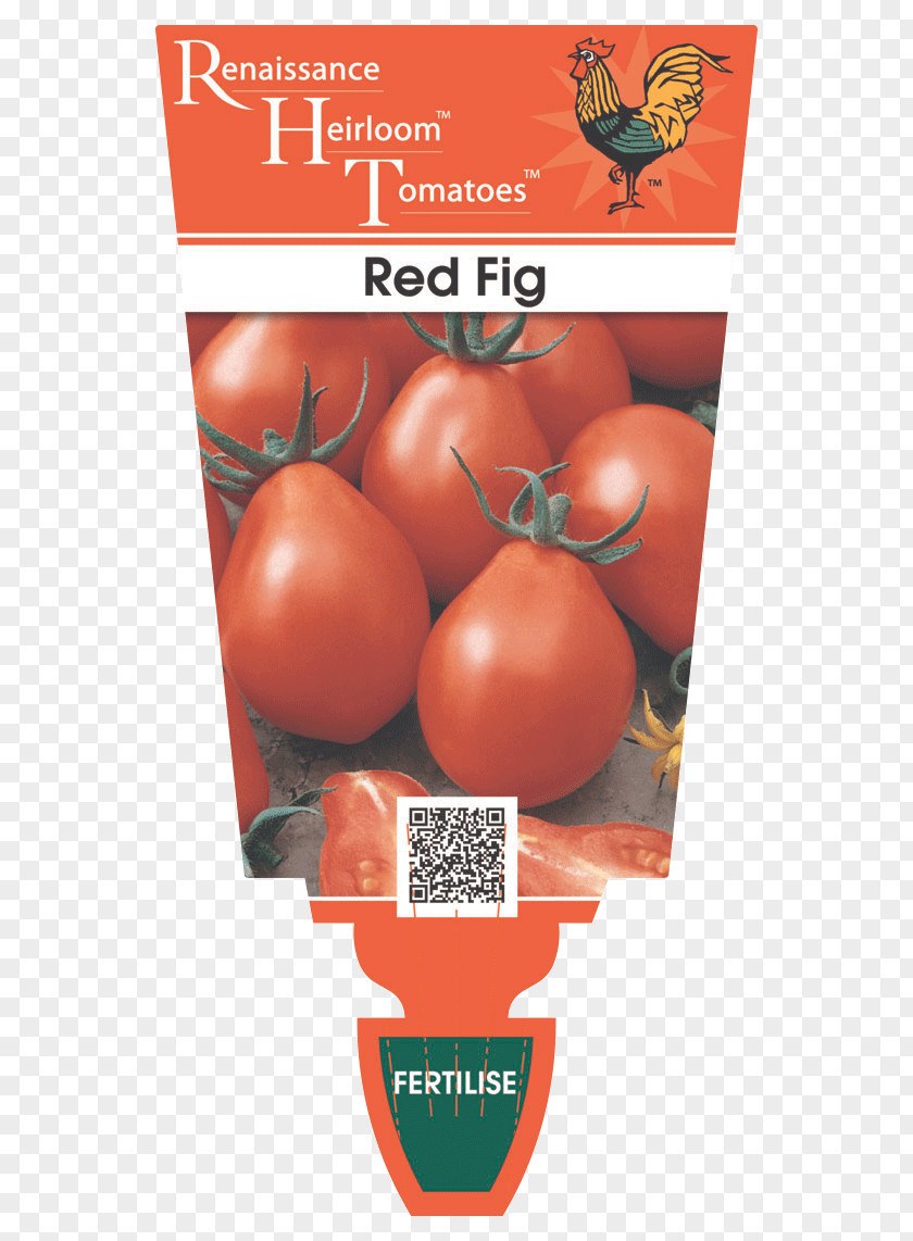 Heirloom Tomato Seeds Catalog Plum Roma Food Bush PNG