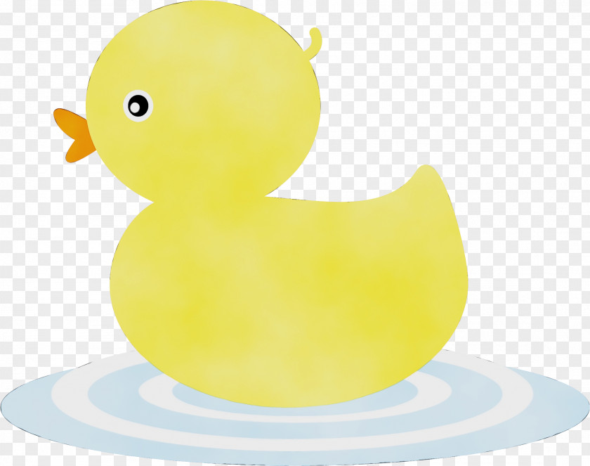 Livestock Waterfowl Water Cartoon PNG