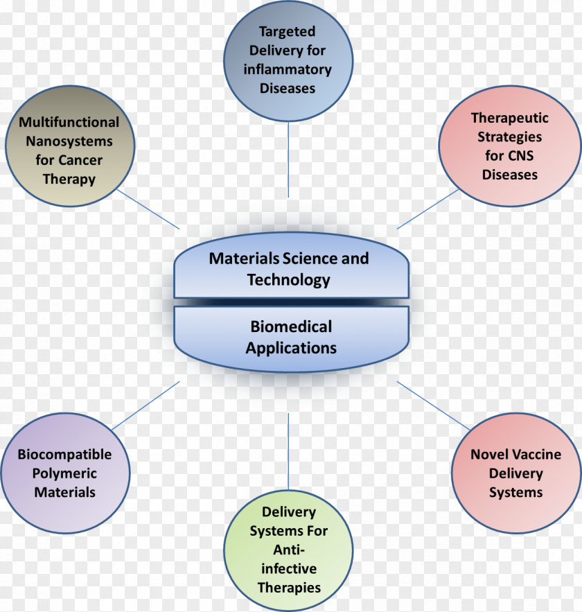 Northeastern University Organization Pennsylvania State System Diagram PNG