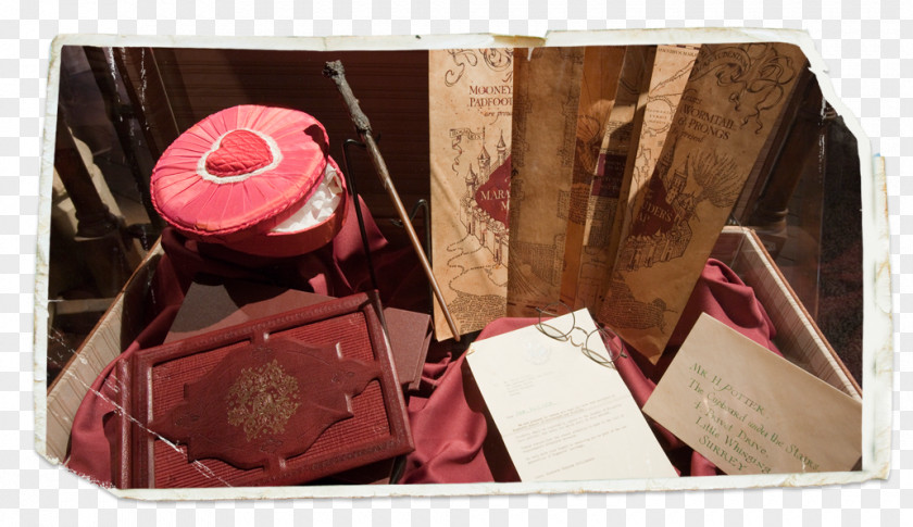 Tea Tray ArtScience Museum Harry Potter: The Exhibition Romilda Vane PNG