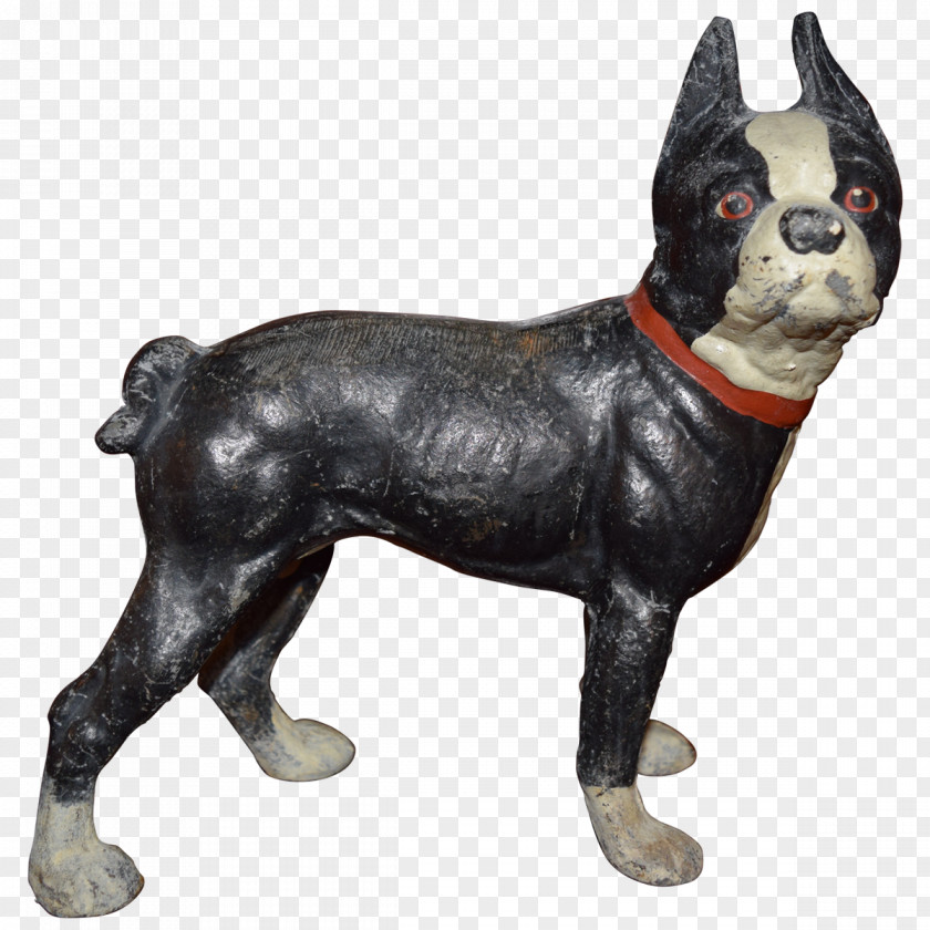 Boston Terrier Dog Breed Non-sporting Group (dog) Snout PNG