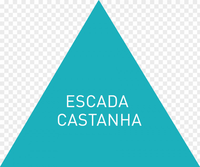 Castanha DIKW Pyramid Knowledge Wisdom Information Data PNG