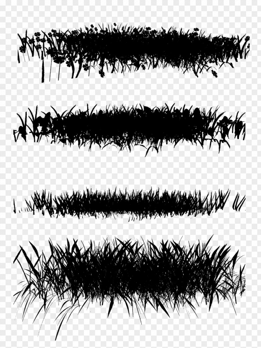 Eyebrow Font Line PNG